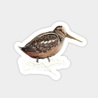 American Woodock Sticker